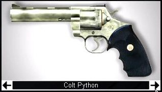http://www.fpsteam.it/armeria/SCREEN_SWAT4_colt-python.jpg
