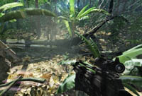 http://www.fpsteam.it/img2006/cryisis/crysis_04min.jpg