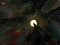 Killing floor