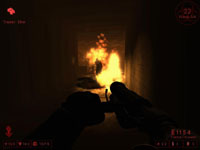Killing floor