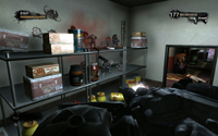 Duke Nukem Forever