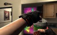 Duke Nukem Forever