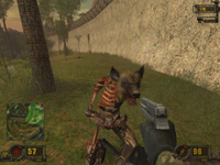 FPS ITALIAN TEAM vivisector