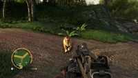 Far Cry 3