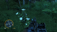 Far Cry 3