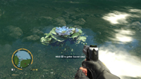 Far Cry 3