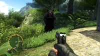 Far Cry 3