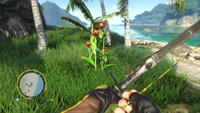 Far Cry 3