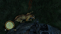Far Cry 3