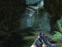 Turok 2008