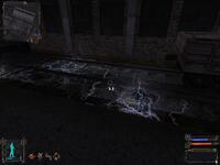 S.T.A.L.K.E.R.: Shadow of Chernobyl