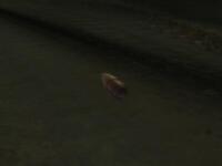 Sniper Elite