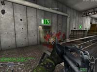FPS ITALIAN TEAM Senza testo alternativo