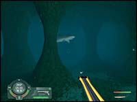 shark
