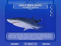 shark