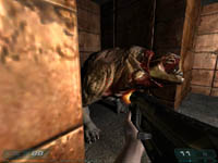 FPS ITALIAN TEAM Senza testo alternativo