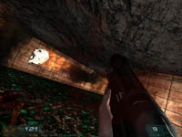 FPS ITALIAN TEAM Senza testo alternativo