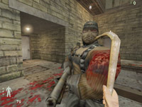 FPS ITALIAN TEAM Senza testo alternativo