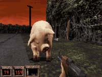 FPS ITALIAN TEAM Senza testo alternativo