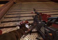 FPS ITALIAN TEAM Cell factor