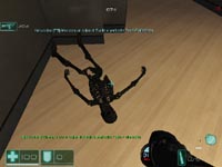 FEAR COMBAT
