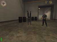 eastereggs