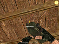 SPOILER Vietcong