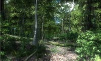 Crysis