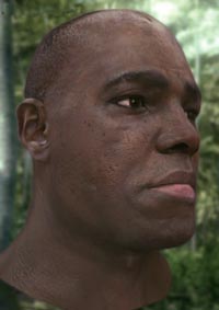 Crysis