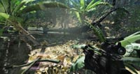 Crysis
