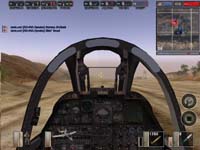 desert combat