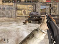desert combat