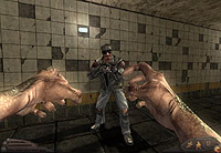 FPS ITALIAN TEAM Dusk-12