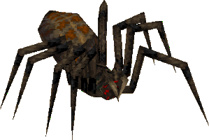 spider