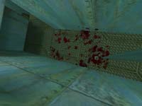 Half-Life Opposing Force
