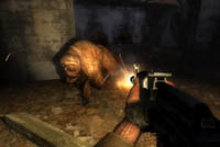FPS ITALIAN TEAM Senza testo alternativo