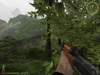 vietcong 2
