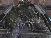 Warpath