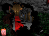 Voxelstein 3D