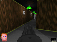 Voxelstein 3D