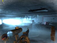 Cryostasis