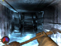 Cryostasis
