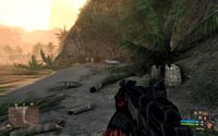 FPS ITALIAN TEAM CRYSIS