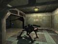 FPS ITALIAN TEAM Senza testo alternativo